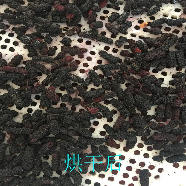 IMG_3847_副本.jpg