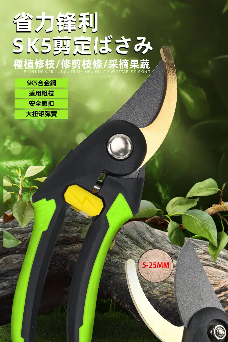 1 拷贝.jpg