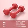 Mancuernas para niñas, equipo de fitness para el hogar, par para principiantes, juego de entrenamiento muscular de brazos para niños, mancuernas pequeñas para hombres, para bajar de peso