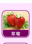 日用香精系列明细_16.jpg