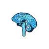 Broche Creativo de Órganos Humanos de Dibujos Animados Corazón Cerebro Pulmón Modelado Insignia Personalidad Médica Aleación Accesorios para Ropa