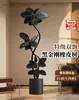 Árbol de Caucho Black Diamond, una Planta de Interior Grande de Alta Gama para la Sala de Estar, con un Toque de Lujo, Adecuada para la Oficina, Fácil de Mantener