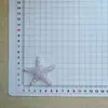 Accesorios de Estrella de Mar Transparentes Brillantes Súper Grandes DIY Hechos a Mano Pinzas para el Cabello Funda para Teléfono Zuecos Bolsa para Zapatos Caja de Almacenamiento Materiales al por Mayor