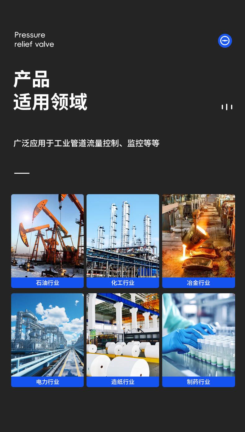 METSO美卓-耐铼斯ND910带限位开关定位器_06