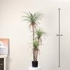 Orquídea de seda de simulación árbol en maceta bonsái de sisal simulación planta verde alto sentido decoración del hogar planta de simulación fábrica mayoreo
