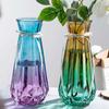 Vaso Grande Espessado Vidro Transparente Enfeites para Sala de Estar Plantas Hidropônicas Bambu Rico Lírio Flor Seca Vaso de Cerâmica