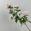 Simulación de Senilixiang Qilixiang Jiulixiang Fragancia de Montaña Canela Dorada Decoración para Bodas y Hogar Flor Artificial Flor de Lila