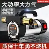 Bomba de Óleo Elétrica 12V24V Rotor 220V Bomba Diesel Pequena Totalmente Automática Autoescorvante Equipamento de Reabastecimento