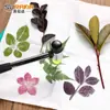 Kit de Ferramentas para Tingimento e Esfregamento de Plantas Pacote de Materiais Leque Redondo Pacote de Lona Impressão e Tingimento Esfregamento Alúmen Agente Fixador de Cor