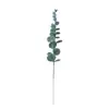 Simulación transfronteriza fila pequeña plomo verde eucalipto adornos de plantas flores artificiales flores de simulación hoja de dinero retro ventana de casa invitado