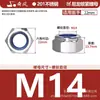 Tuerca Hexagonal Antiaflojante de Acero Inoxidable 201/304/316 Tuerca Autocierre de Nylon M3M4M5M6M8M10M12M20