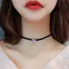 Colar Choker Raposa Rosa Sexy Japonês e Coreano para Mulheres, Corrente Curta para Clavícula, Acessório Simples e Elegante