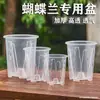 Atacado Vaso de Flores Respirável de Plástico Transparente Orquídea Novo Vaso de Flores Borboleta Vaso de Controle de Raiz Vaso Transparente Verde Montanha Vaso Oncidium