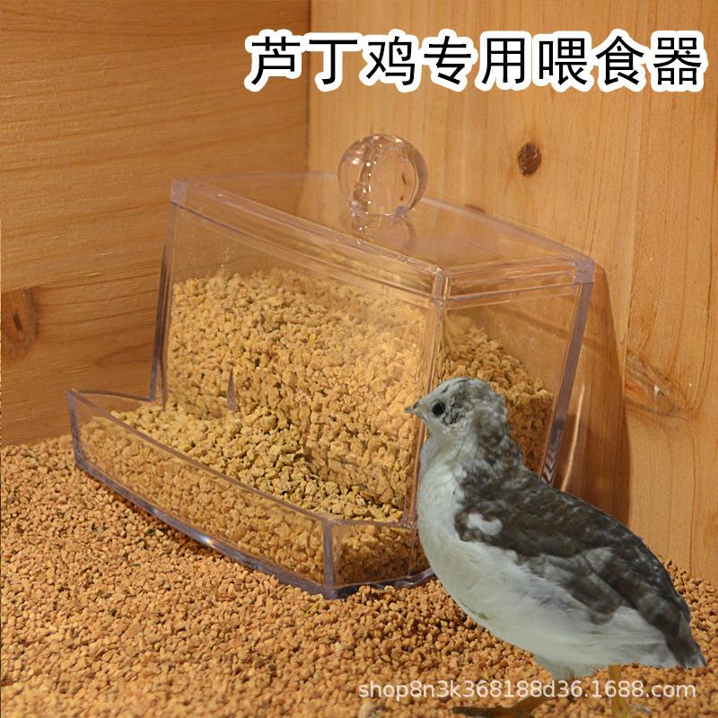 主图2.jpg