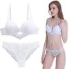 Conjunto de Brasier Nuevo 2023 Vs Conjunto de Ropa Interior de Encaje Sexy Francés Brasier de Mujer al Mayoreo Aliexpress Estilo Caliente