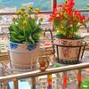Suporte de flores de varanda de ferro, suporte de flores de parapeito, suporte de flores de guarda-corpo, suporte para vasos de flores suspensos, suporte para rabanete verde, suporte para vasos redondos