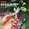 Tijeras de podar multifuncionales para jardín, tijeras de podar especializadas para árboles frutales, herramienta para podar ramas gruesas de jardín, personalizadas por la fábrica de origen
