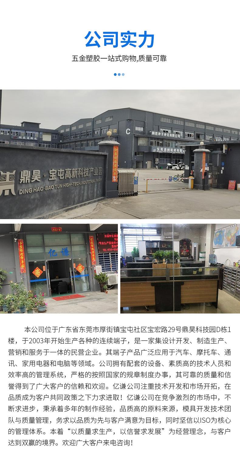 亿谦-模板-倩雯_08