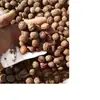 Material de talla de hueso de durazno templo cinabrio nuez de durazno nuez semillas sueltas para jugar almohada cervical bolsa para palmear materia prima joyería pulsera