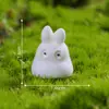 Micro-paisaje de musgo, figuras creativas de elfos brillantes en miniatura, accesorios decorativos DIY para jardinería y paisajismo, adornos pequeños
