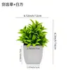 Venta Directa de Fabricantes Mayoristas Transfronterizos de Plantas Verdes Artificiales, Oficina en Casa, Flores Artificiales, Adornos Decorativos de Interior, Bonsáis Pequeños Artificiales
