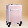 Fabricante Atacado Liga de Alumínio Trolley Estojo de Maquiagem, Caixa de Maquiagem para Maquiador Profissional, Bagagem Portátil Removível