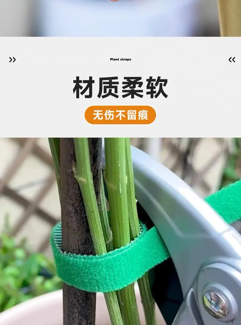 微信图片_20250516133636