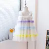 Vestido de Verão Sem Mangas para Meninas com Saia de Tule Colorida em Degradê, Estiloso Vestido Princesa com Babados