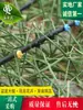 Gotejador de Irrigação por Gotejamento Compensador de Pressão 2/4/8/10/16L Estabilizador de Fluxo Agrícola Microaspersor Conector para Acessórios de Irrigação por Gotejamento