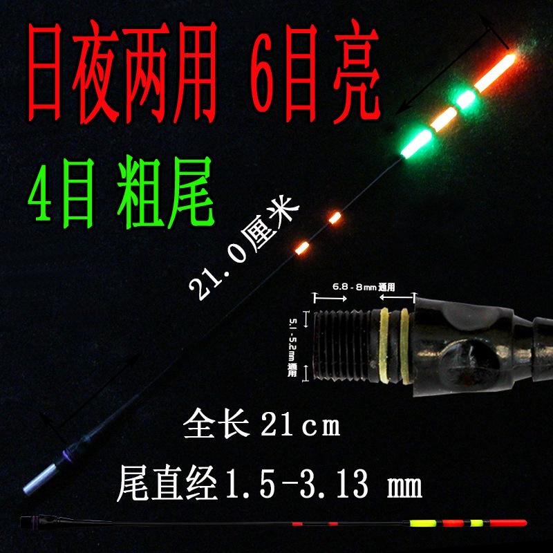 4目粗尾，