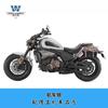 Coche muscular Wolf adecuado para Qianjiang flash 700 bolsa lateral bolsa de lona bolsa para portátil de negocios maletín modificación portabicicletas de liberación rápida Especial