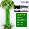 Paquete decoración tubería de agua corteza flor artificial ratán refugio pilar balcón tubería planta verde simulación plástico vid