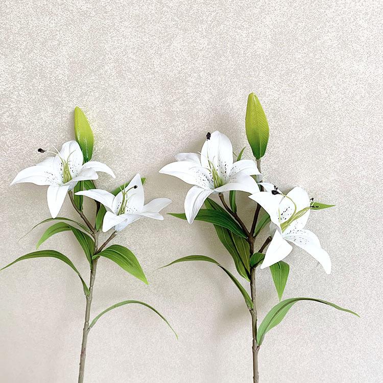 QQ图片20220819141221