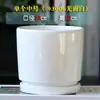 Maceta de Cerámica Tamaño Grande Oferta Especial Liquidación Interior Escritorio Balcón Suculenta Maceta Pequeña Clorofito Helecho Espárrago Maceta Simple Blanca