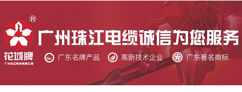 bv详情_18.jpg