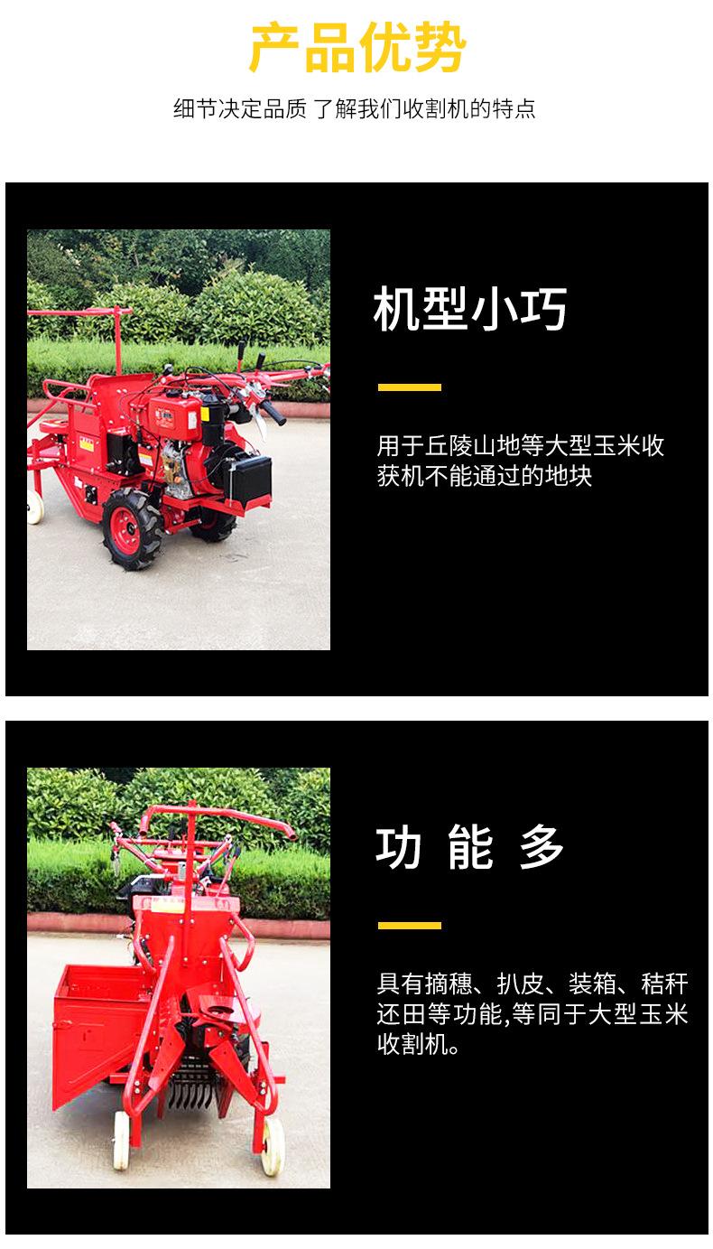 玉米_07