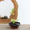 Vaso para Arranjo de Flores Inspirado em Zen, Arranjo de Flores para Tapete de Chá, Recipiente de Cerâmica para Flores, Ensino em Estilo Japonês, Prato de Flores Prático, Recipiente de Vaso, Rosa Dourado Estético