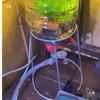 Soporte para Botellón de Agua Mineral de 4-10 Litros, Soporte para Flores, Multifuncional para Escritorio de Oficina, Balcón, Soporte Invertido para Cría de Peces