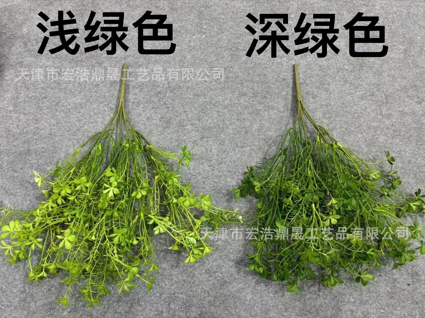 c9491888635f56a85db777564d6796