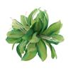 Nuevo Clip de Borde de Flor de Lirio Doble para Primavera y Verano Flor Artificial Clip para el Cabello Foto Vacaciones Tocado de Tela para Mujer