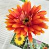 Gerbera Dália Girassol simulação modelo de casa decoração de sala Flor artificial europeia decoração de casa flor de simulação