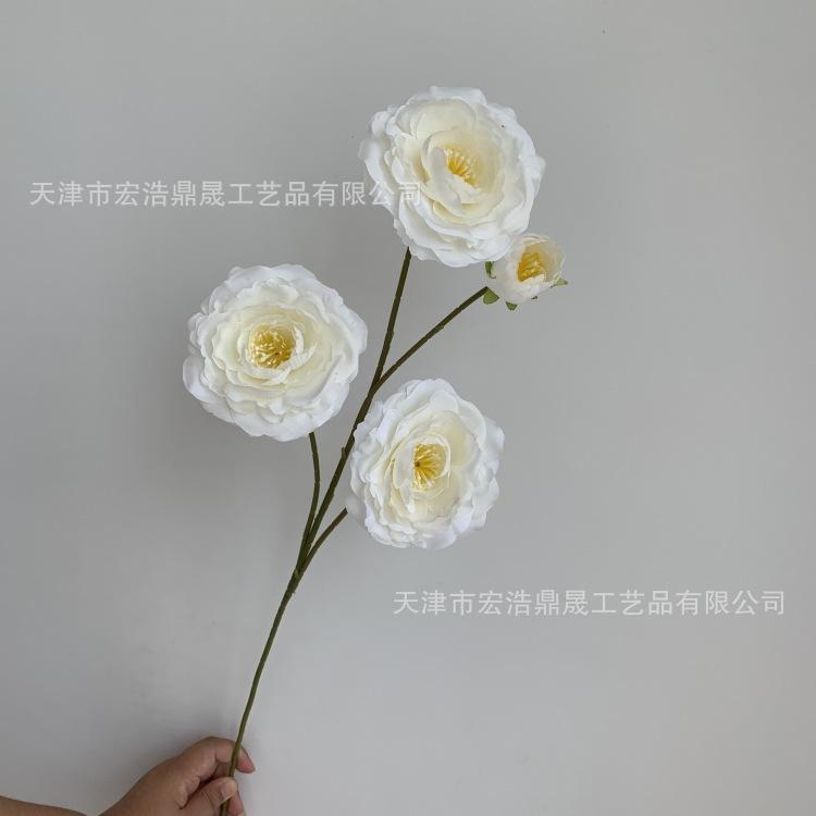 微信图片_20230810101753_副本