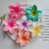 Grampo de Cabelo Flor de Frangipani Super Fada 8cm, Design Elegante e Sofisticado, Clipe de Tubarão para Cabelo Diário para Férias na Praia de Nicho