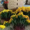Lámpara de pie de girasol para exteriores, impermeable, para parque, plaza, proyecto de iluminación, decorativa, para césped, venta al por mayor