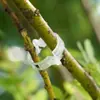 Clip para plantas clip colgante para plántulas clip de plástico para atar enredaderas clip para atar ramas clip colgante para enredaderas abrazadera para enredaderas clip para fijar enredaderas venta al por mayor
