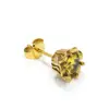 Estilo Cool Ins Japonés y Coreano Encanto de Personalidad Set de Rosas Pendientes de Circonita para Hombres y Mujeres Moda Pendientes de Acero de Titanio Versátiles