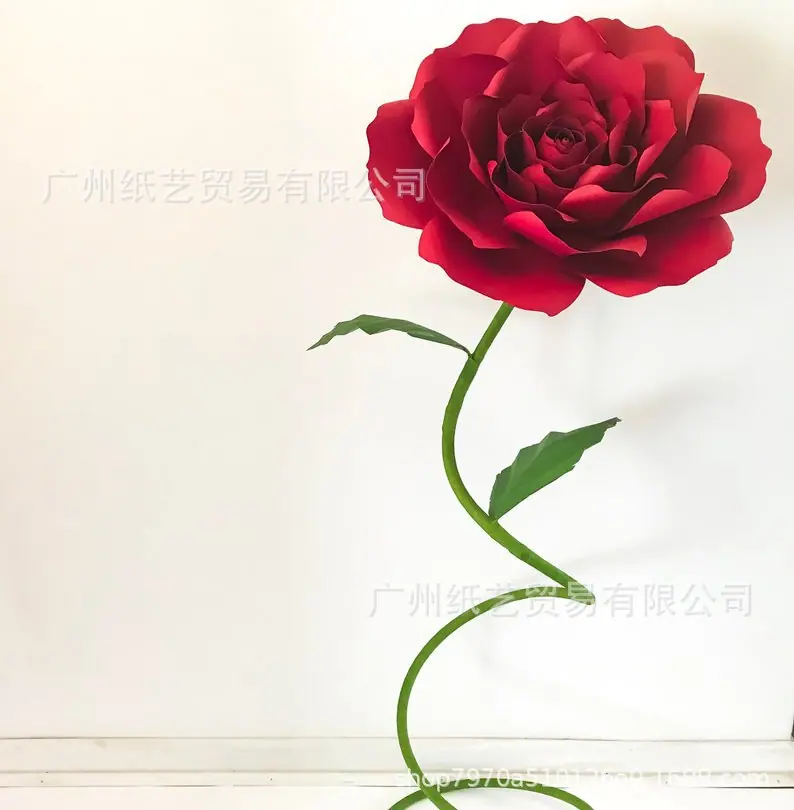 il_794xN.1499572496_3kg8.jpg