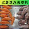 Peladora de batata Shandong Longkun, máquina peladora física multifunción para patatas, equipo para pelar zanahorias
