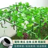 Enrejado de Jardín para Exteriores, Enrejado para Uvas, Enrejado para Maracuyá, Enrejado para Kiwi, Enrejado para Calabazas, Enrejado para Melones, Enrejado de Jardinería Tipo Columna