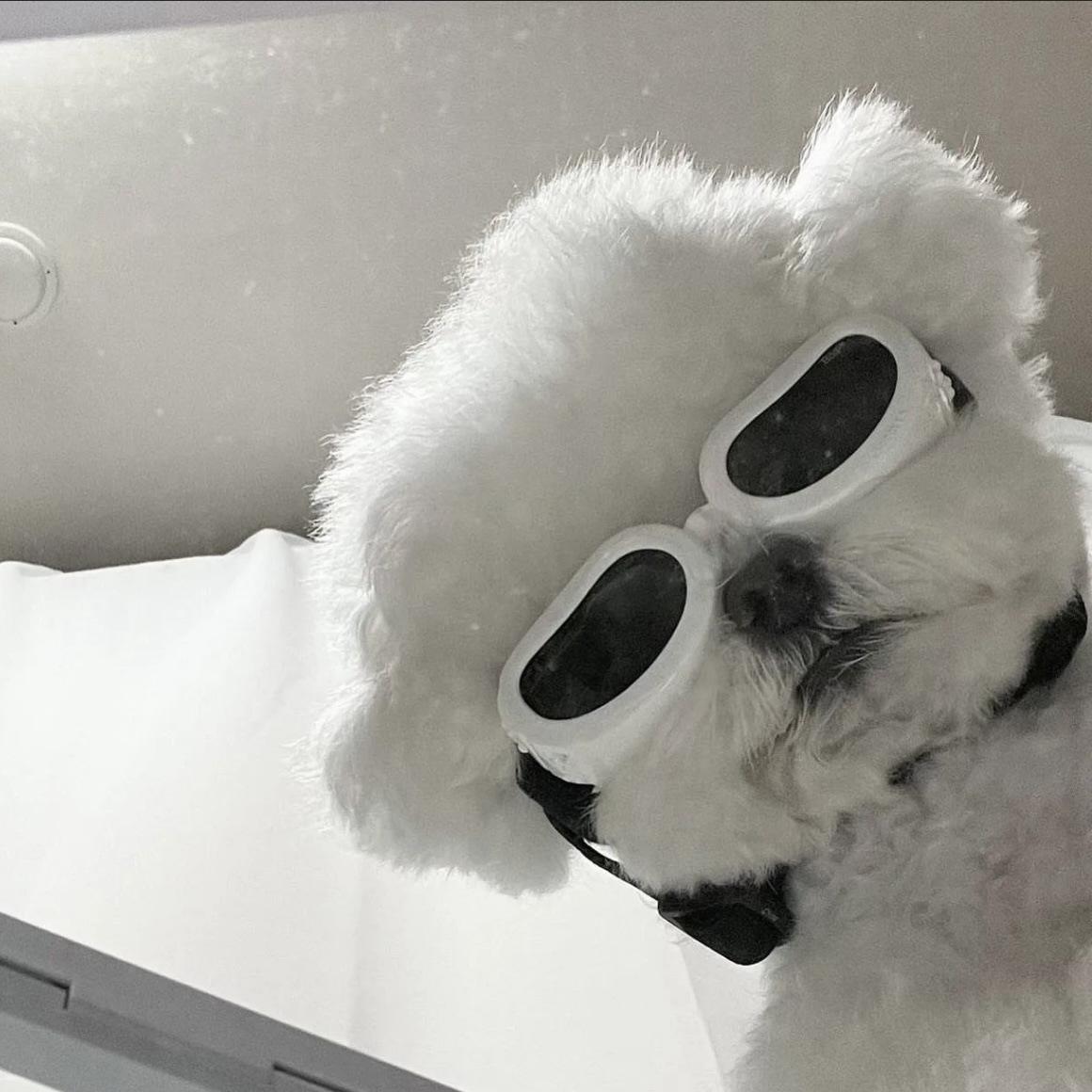 a979cace836e9360adbf56401d7ee9